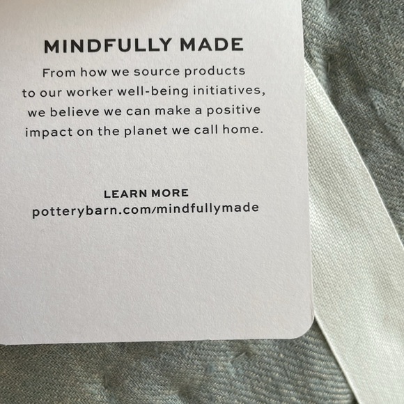 Pottery Barn Standard Willow Sham/Cotton Linen Reversible, NWOT - Picture 3 of 8